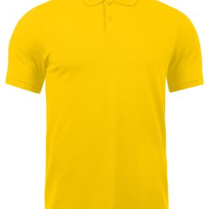 SARI POLO YAKA T-SHIRT